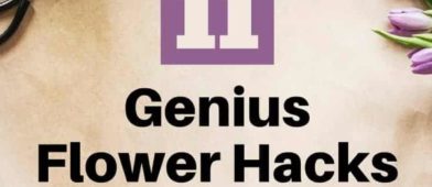 Flowers are beautiful, they smell nice, and they can brighten up a room. They're also expensive. See our 11 genius hacks to make the most out of your next floral arrangement!